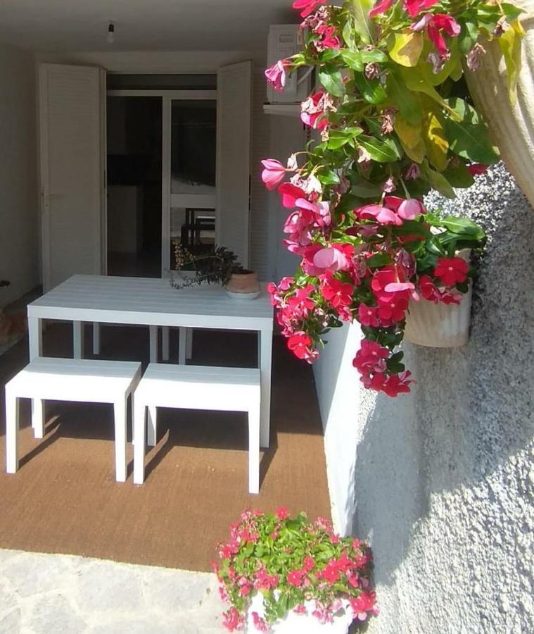 Garden Apartment Maratea Eksteriør bilde